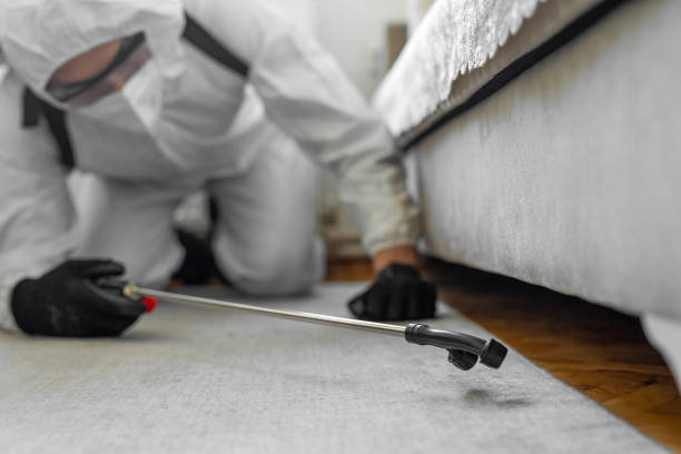 Professional Ant Control technician working in Bonadelle Ranchos, CA