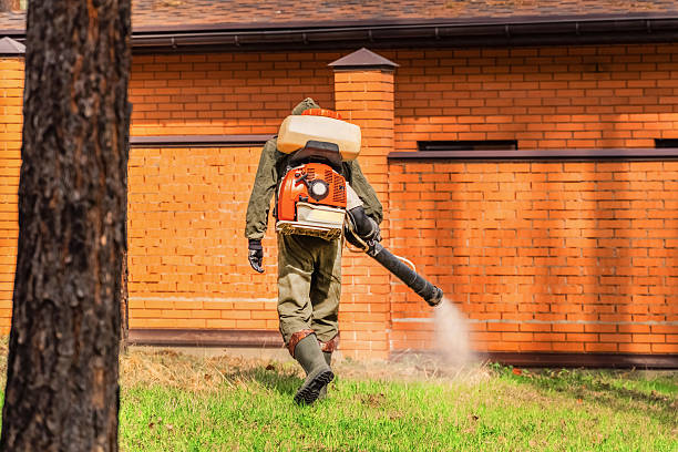 Trusted Mosquito Control service in Bonadelle Ranchos, CA - Nex Pest Control